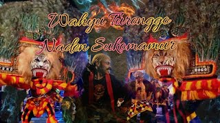 warok reog,,,🔥🔥Wahyu Turonggo Naden Sukomamur kajoran live Purwosari Reco Wonosobo