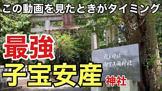 「遠隔参拝」この動画に導かれた方、必見！今が【子宝】に恵まれる絶妙のタイミング「冨士御室浅間神社」