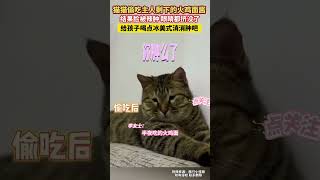 猫咪偷吃主人的火鸡面，结果脸肿的眼睛都挤没了#萌宠 #funny #猫