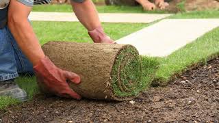 Sod | Alpharetta, GA – Service First Landscapes