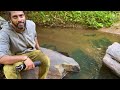 പറമ്പിക്കുളത്തെ പുതിയ ട്രെക്കിങ്ങ് parambikulam trekking elephant song trekking trail 4k uhd