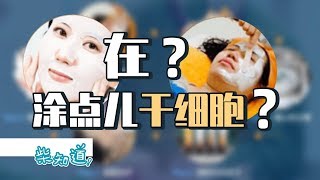 美容院里的“干细胞美容”项目靠不靠谱？丨科普丨冷知识丨柴知道ChaiKnows