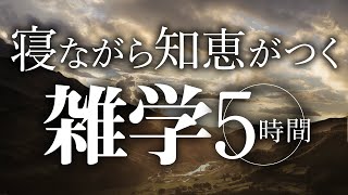 【睡眠導入】寝ながら知恵がつく雑学5時間【合成音声】