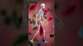 What Is a Manifestation Code in Medical Coding