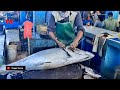 Keterampilan Luar Biasa Om Lubis Potong Ikan Tuna Besar Untuk Nasi Kuning Harga 10K Per Porsi