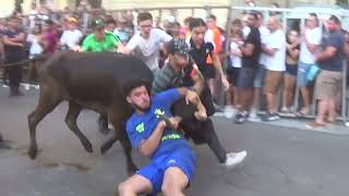 24 Juillet 2023 Bandido Manade Labourayre À Remoulins