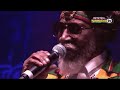 BUNNY WAILER sings LEGALIZE IT live @ Main Stage 2015 | Rototom Sunsplash