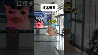 狗：讨厌没有边界感的人 #柴犬受害者联盟 #迷惑行为大赏 #猫meme #搞笑 #离谱操作