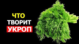 Вот что произойдет с организмом, если начать есть Укроп (Невероятно)