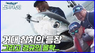 준현만한 참치가 동해에 있다?!?! | 도시어부 3 23 회