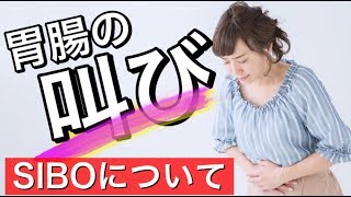 【胃腸の叫び】SIBOの種類「徹底解説」