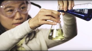 Development Programs at AbbVie