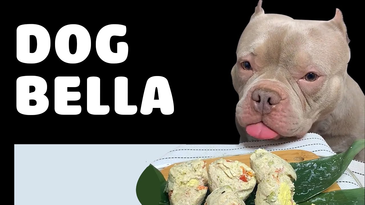 The Cutest Asmr Dog In The World Is Eating Youtube Music