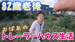 【トレーラーハウス生活】みきじーさん味見、評価はいかに　#345