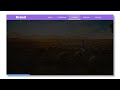 Navbar with Hover Indicator Using HTML & CSS | Navigation Menu Bar