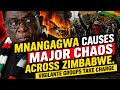 MNANGAGWA CAUSES CHAOS, VIGILANTE GROUPS TAKE CHARGE