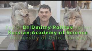 Wolf research in Siberia 2016