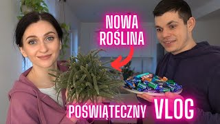 Poświąteczny VLOG 🏡Nowa roślina 🪴Gosia i Miłosz Vlog