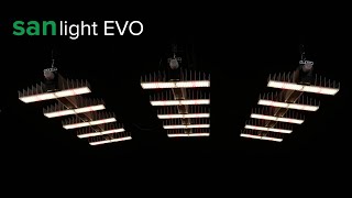 Sanlight EVO 5 LED grow light test and review