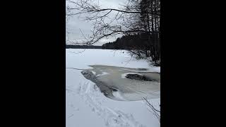 Владимирский край ! #природа #зима #отдых #снег #лес #красота #рекомендации #фото