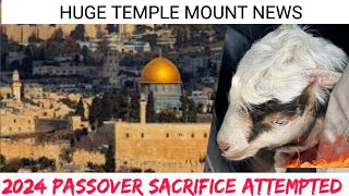 HUGE TEMPLE MOUNT NEWS: PASSOVER 2024 SACRIFICE WAS ATTEMPTED IN JERUSALEM - STO