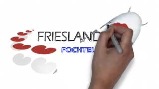 Frieslandkoi