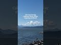 Grey Whale spotted in Vancouver