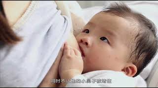 高画質授乳教育ビデオ - 美しいママの実演 ｜ Breastfeeding Educational Video - Beautiful Mommy Demonstration