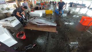 Huge Bluefin Tuna Fast Cutting東港黑鮪魚切割分解