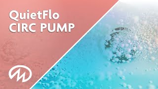 Quiet Flo Circulation Pump by Master Spas