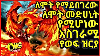 ለሞት የማይበገረው የሞትም መዳኒት በመባል የሚታወቀው አስገራሚው  የምድራችን ብቸኛው ወፍ ethiopia