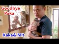 Goodbye Monkey Puka, We Will Miss You So Much!