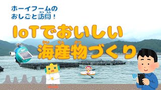 【Workワクチャンネル】地元でかがくであそぼ！IoTでおいしい海産物づくり～三重県　紀北町～　株式会社アイエスイー様　杉本養殖株式会社様