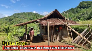 TINGGAL BERDUA MENIKMATI MASA TUA DI GUBUK SAWAH TANPA LISTRIK DI DEKAT HUTAN