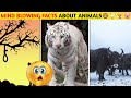 Crazy Facts About Animals 🐸🦘| Amazing Facts | Random Facts | Mind Blowing Facts in Hindi #Shorts