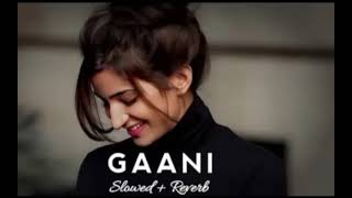 Gani - ( Slowed + Reverb ) Akhil | Lofi |Punjabi Lofi | Lofi Feelings @-9music
