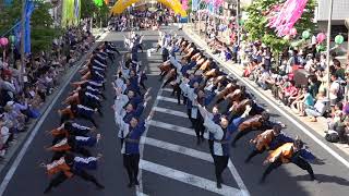 2019 8 11 瑞浪美濃源氏七夕祭り  信州大学YOSAKOI祭りサークル和っしょい  公園会場