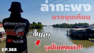 🎣🐠We are Angler EP.365“ชี้เป้าหมายเด็ด ล่าปลากะพง บางขุนเทียน”|ตกปลาหน้าดิน