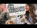 Download IM PREGNANT! FINDING OUT AND TELLING MY HUSBAND! *EMOTIONAL* | Casey Holmes Vlogs In Mp4 3Gp Full HD Video