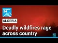 Deadly wildfires rage across Algeria as temperatures soar • FRANCE 24 English