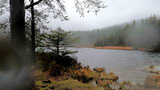 BEDDGELERT Forest and Rain | SNOWDONIA 🏴󠁧󠁢󠁷󠁬󠁳󠁿 WALES | Llyn Llywelyn Time Laps 4K