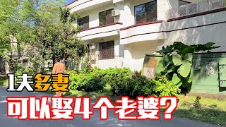 在巴基斯坦可以娶四个老婆吗？中国人在巴基斯坦找老婆容易吗？【杰克在巴基斯坦】