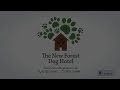 merry christmas from the new forest dog hotel