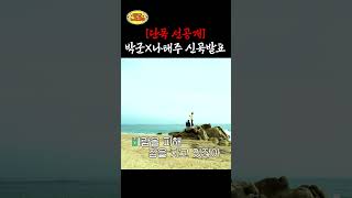 [단독] 박군X나태주 듀엣 데뷔, 신곡 발표 #shorts #태군노래자랑 #박군 #나태주 주