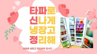 타파_그온티비_타파웨어로정리한_냉장고구경하기(010-3119-8722)