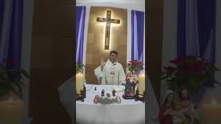 Misa y evangelio de hoy miércoles 25 de diciembre de 2024| Padre Luis Felipe| La FE que peregrina