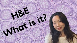 What is H&E?
