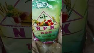 IFFCO NPK 19 : 19: 19 | best gardening fertilizer for flowering \u0026 growth | NPK Fertilizer #npk