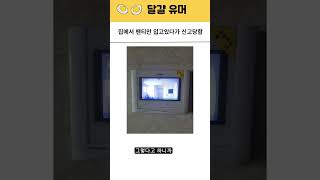 팬티만 입고 있다가 신고받음 ㅋㅋ #웃긴썰 #유머 #웃긴댓글