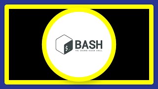 PHP script can't run bash script. sh: Permission denied